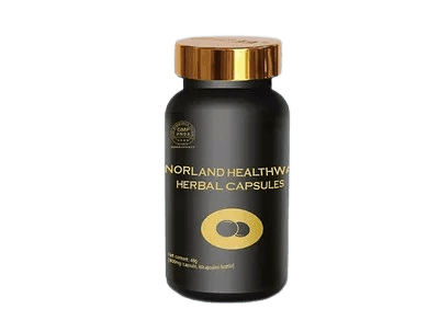 The Best Herbal Remedy for Hepatitis B